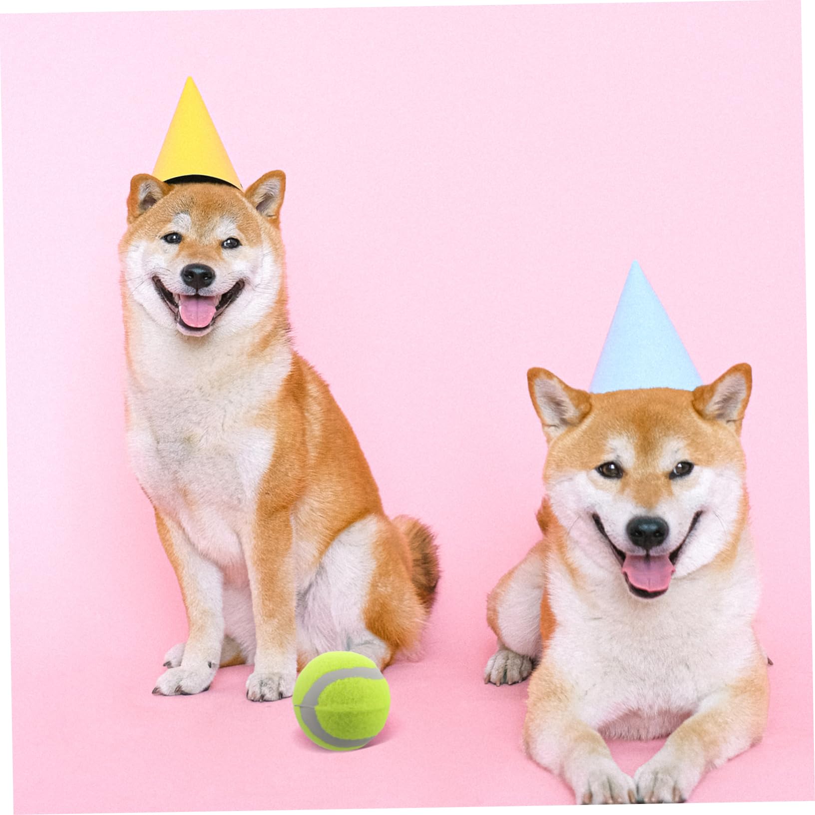 22stücke Teiliges Tennisbällen Für Hunde Bouncy Bälle Interaktive Trainings Und Spielbälle Für Kleine Mittelgroße Und Große Hunde Langlebige Kaubälle