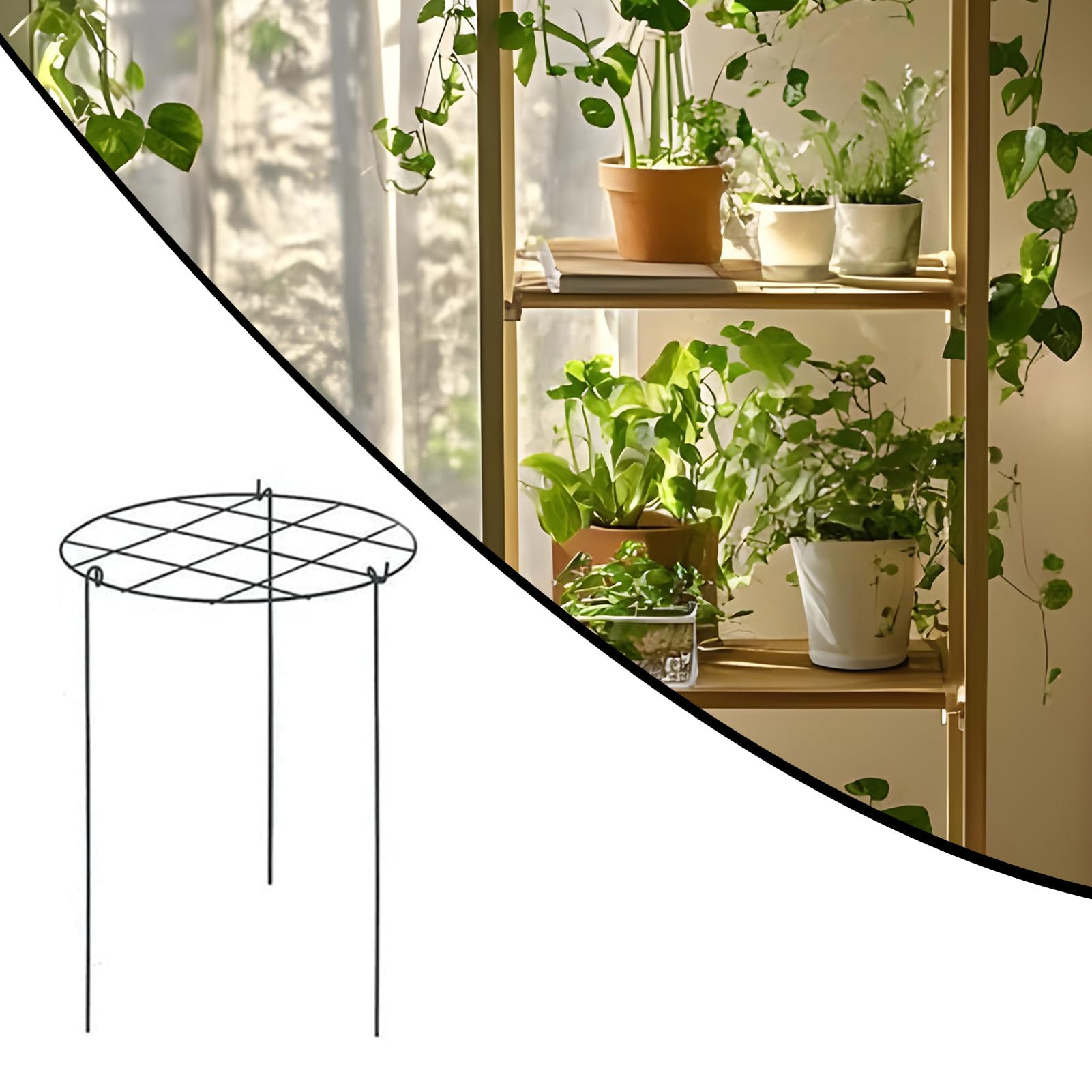 Tuteur pour Pivoines Tuteurs pour d'Intérieur