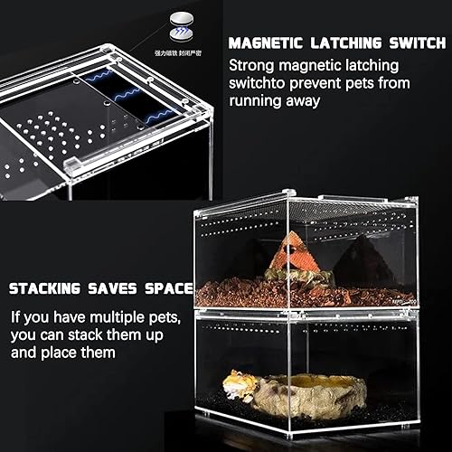 Miniatura 3 de Terrario de reptiles - Kit de inicio de tanque de anfibios, caja de alimentación de bosque lluvioso ecológico, caja de alimentación de anfibios,