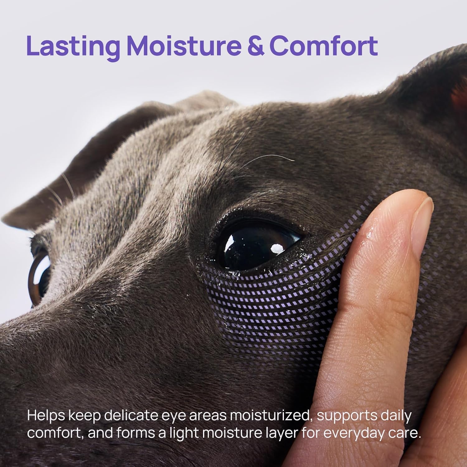 HICC PET Dog Eye Gel, Vet-Trusted Dog Eye Infection Treatment, Cat Eye Drops Wash, Soothes Irritation, Moisturizes Dry Eyes, Pet Eye Drops Ointment Alternative for Dogs, Cats, Horses. 4 fl oz