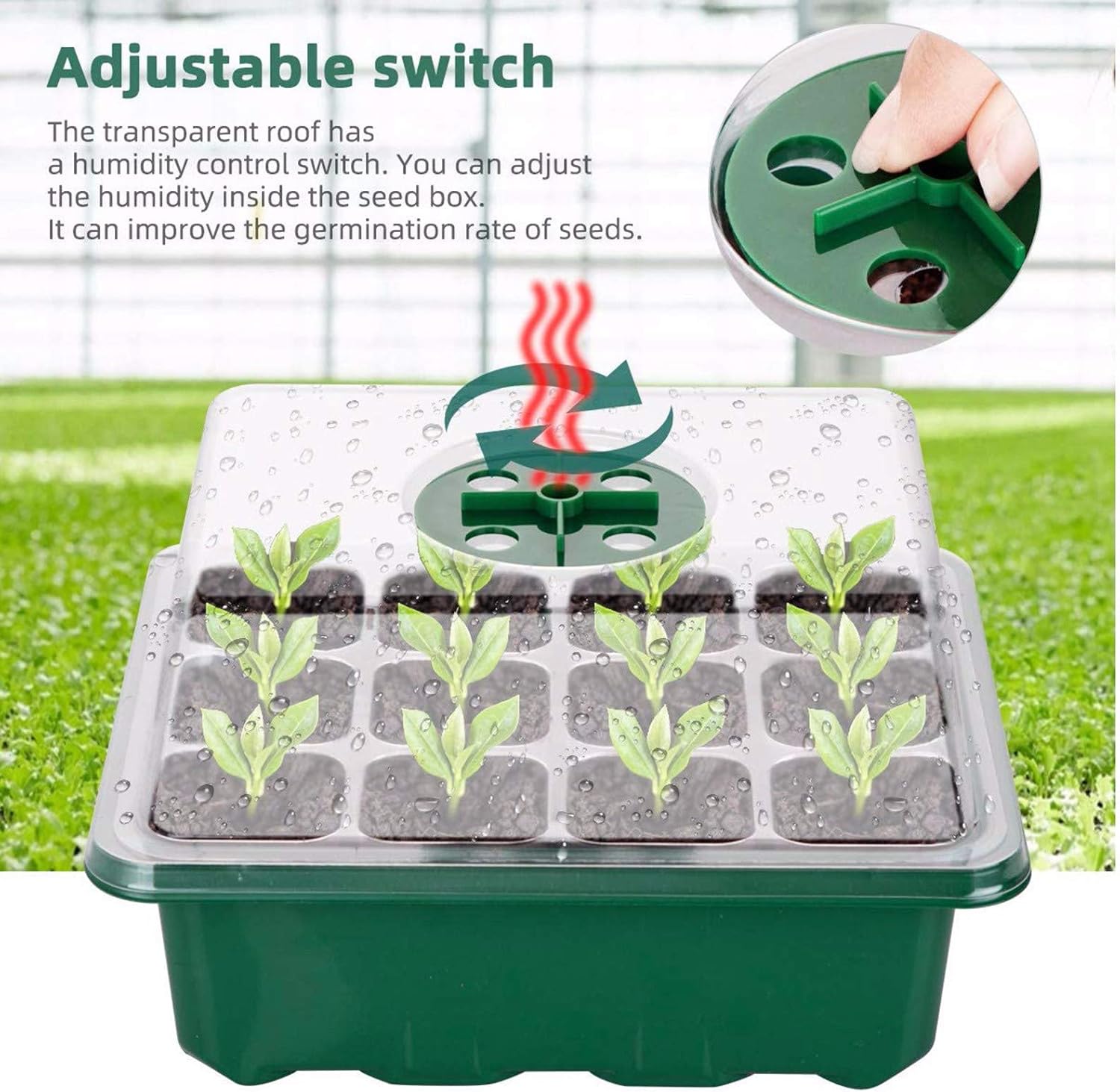 5 Pcs Seed Propagator Trays with Lids Mini Propagators for Plants Seed