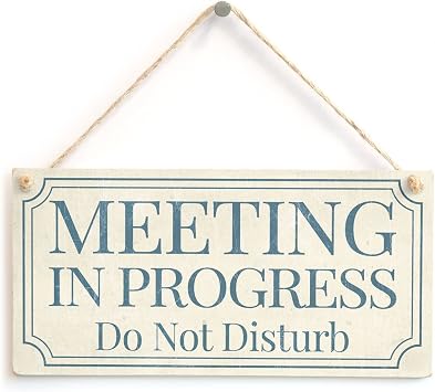 Meijiafei MEETING IN PROGRESS Do Not Disturb - Home Accessory Gift Sign/Plaque For Home Office Study Door 10"x5"