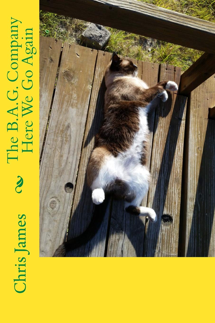 The B.A.G. Company Here We Go Again