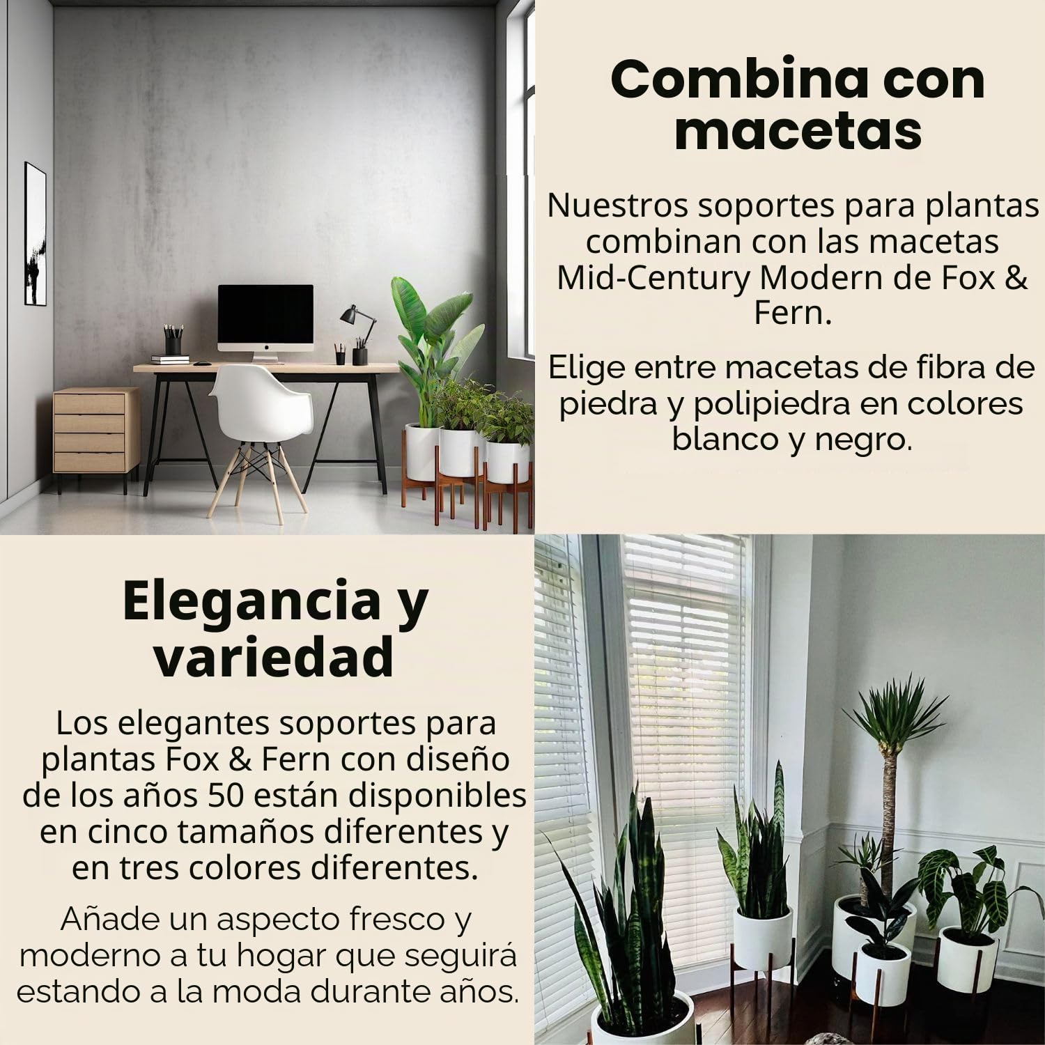 Fox & Fern - Soporte moderno para plantas con estilo de mediados de siglo (macetero blanco de cerámica no incluido)