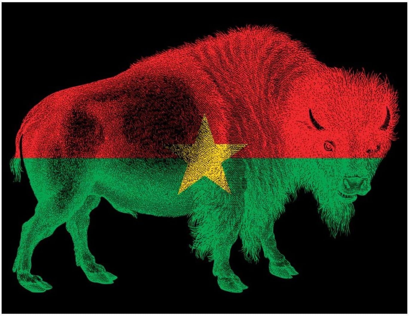 Buffalo Burkina Faso Flag Printed Diamond 5D Painting Kit 16x20in DIY Full Drill Craft with Tools for Home Wall Decor Gift Blackwood 50 * 40cm