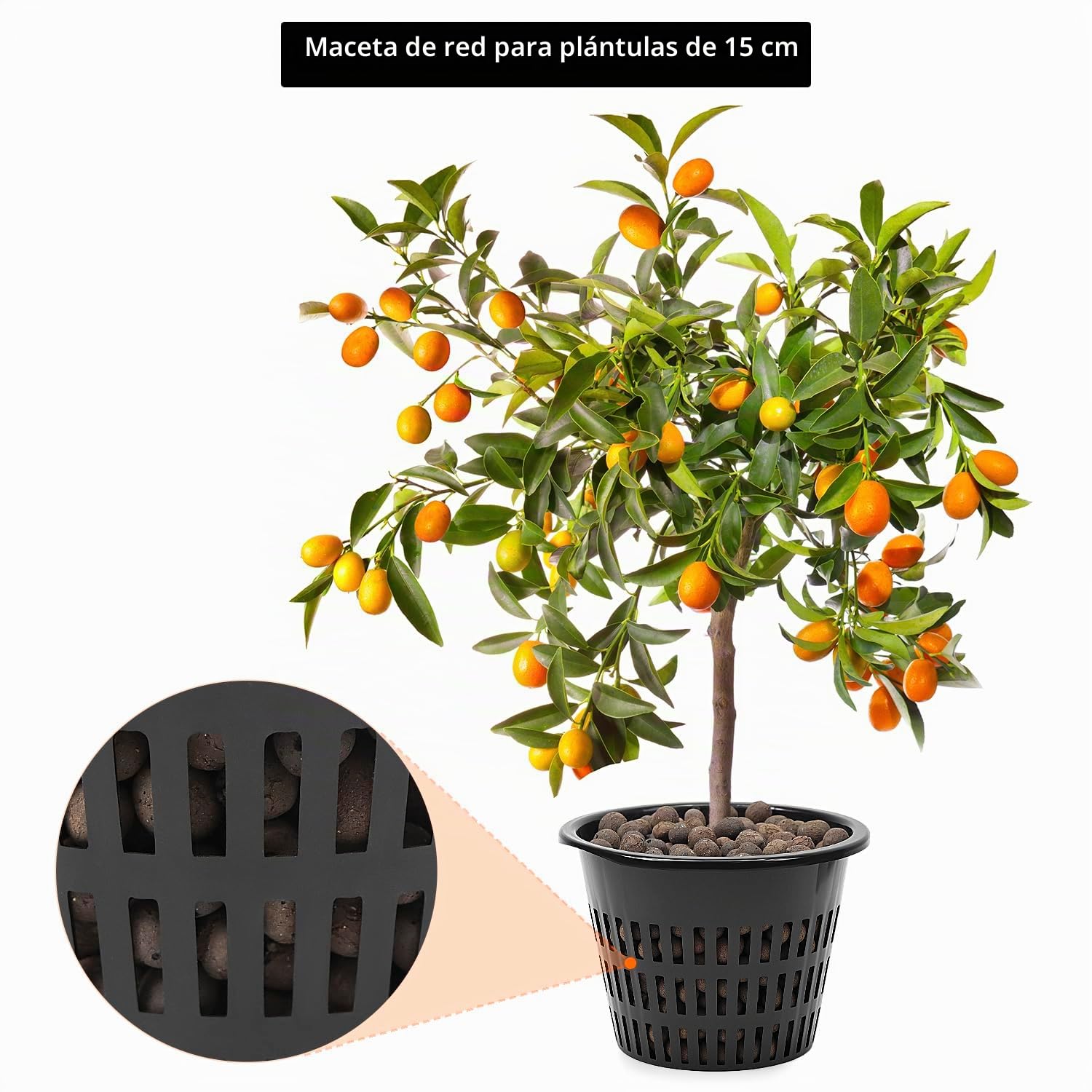 QWORK® DWC Sistema de Cultivo hidropónico, Cultivo en Aguas Profundas de 27 litros, Sistema hidropónico, con Kit de Goteo para Maceta, Bomba de Aire de 8W, 2 Cubos