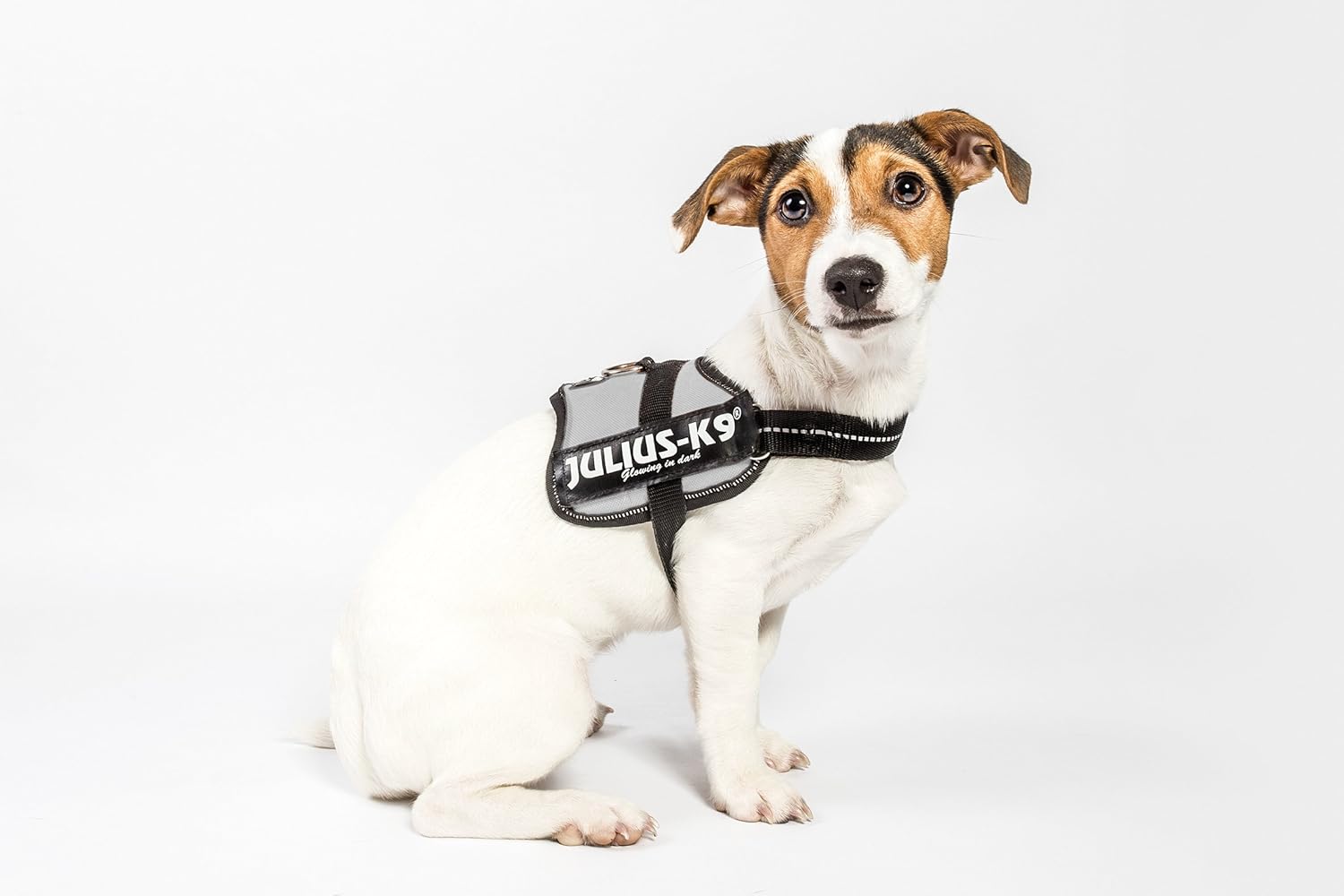 Julius-K9 Powerharness, Baby 1, Silver