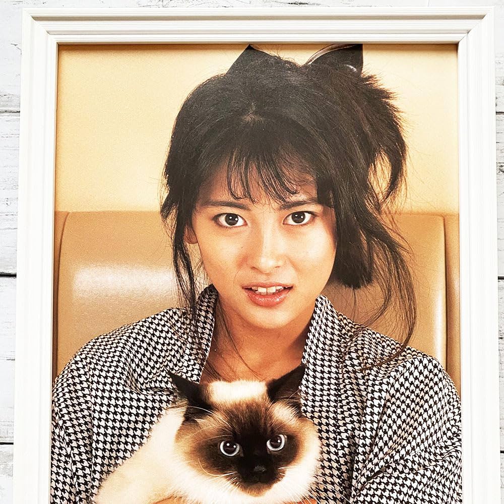 中山美穂／クローズ・アップ 新品 店頭告知ポスター 80年代当時物 シングル 中山美穂／クローズ・アップ 新品 特典ポスター 80年代当時物 猫