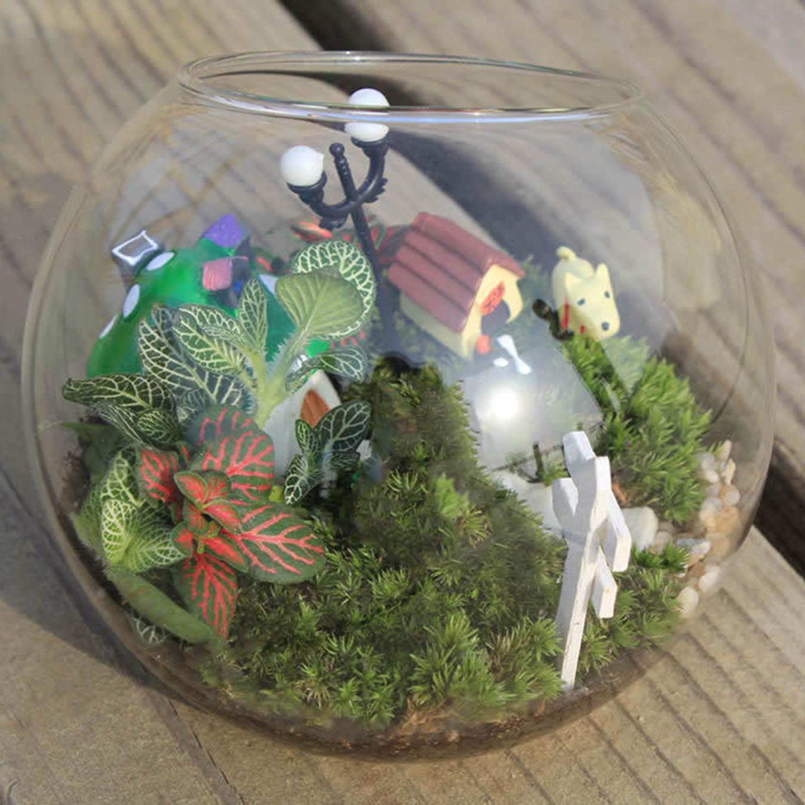 Vase rond en verre pour terrarium - vase en verre - Bouche inclinée - Décoration d'intérieur - Centre de table pour grasses et plus encore