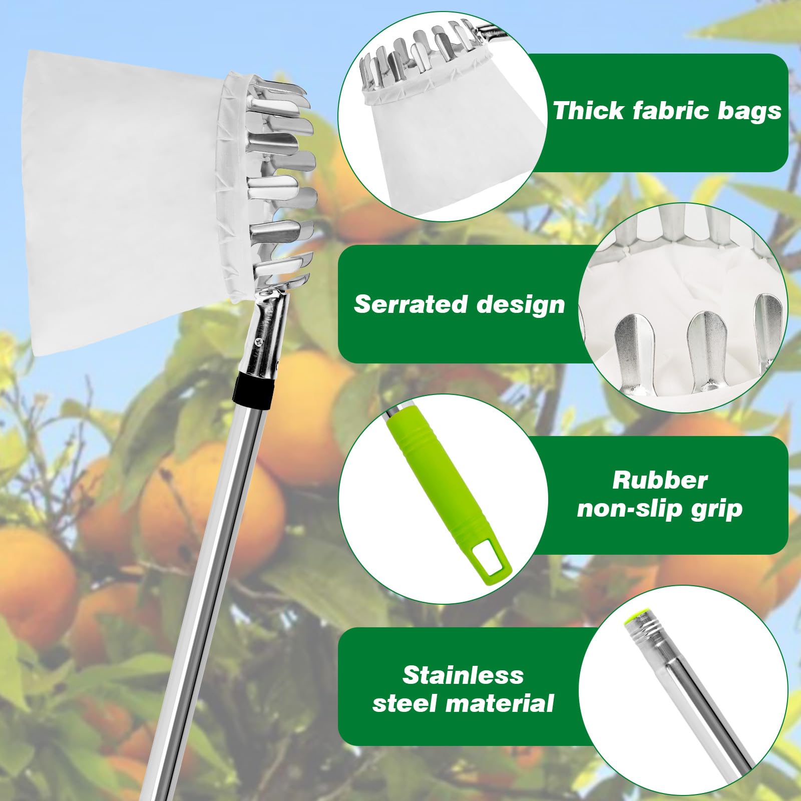 Raccogli Frutta da Albero, 2.4M Raccoglifrutta con Palo in Acciaio Inox Leggero, Raccogli Frutta Telescopico Raccoglifrutta Regolabile in Altezza Per la Raccolta di Mele, Fichi, Pere, Pesche e Nespole
