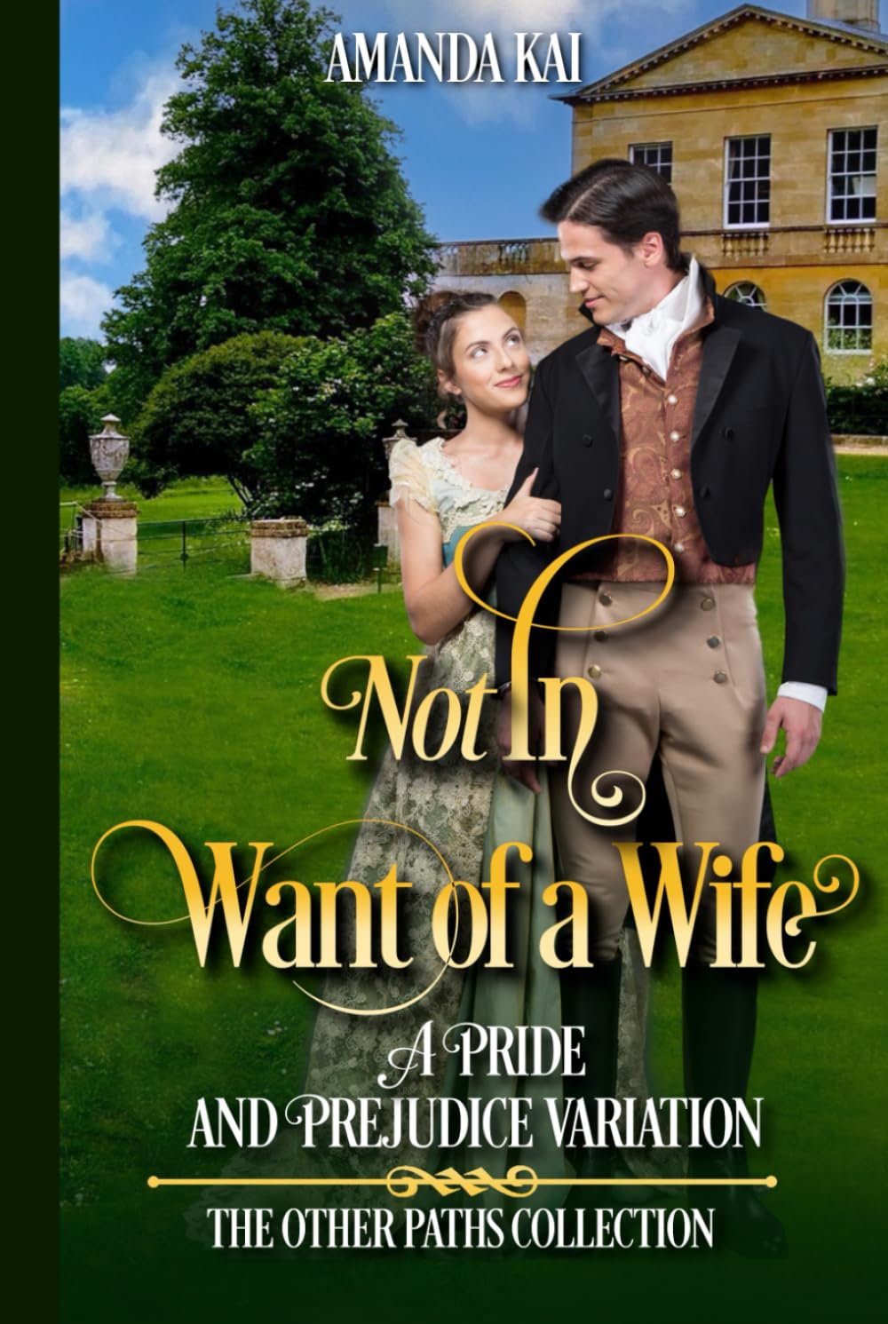 Not In Want of a Wife: A Pride and Prejudice Variation (The Other Paths Collection)