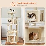 PAWZ Road Arbre de chat, 53.5 Inches Tour de chat Tall avec des hamacs spacieux, des condos et des poteaux de scratching, Maison de chat avec double perches rembourrées pour les grands chats intérieurs-Beige