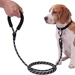 6.56 FT Strong Heavy Duty Dog Leash with Padded Handle 360-Degree Rotating Metal Buckle Without Tangles,Heavy Duty Rope with Reflective Threads,Suitable for Small,Medium and Large Dogs (Dark Blue)
