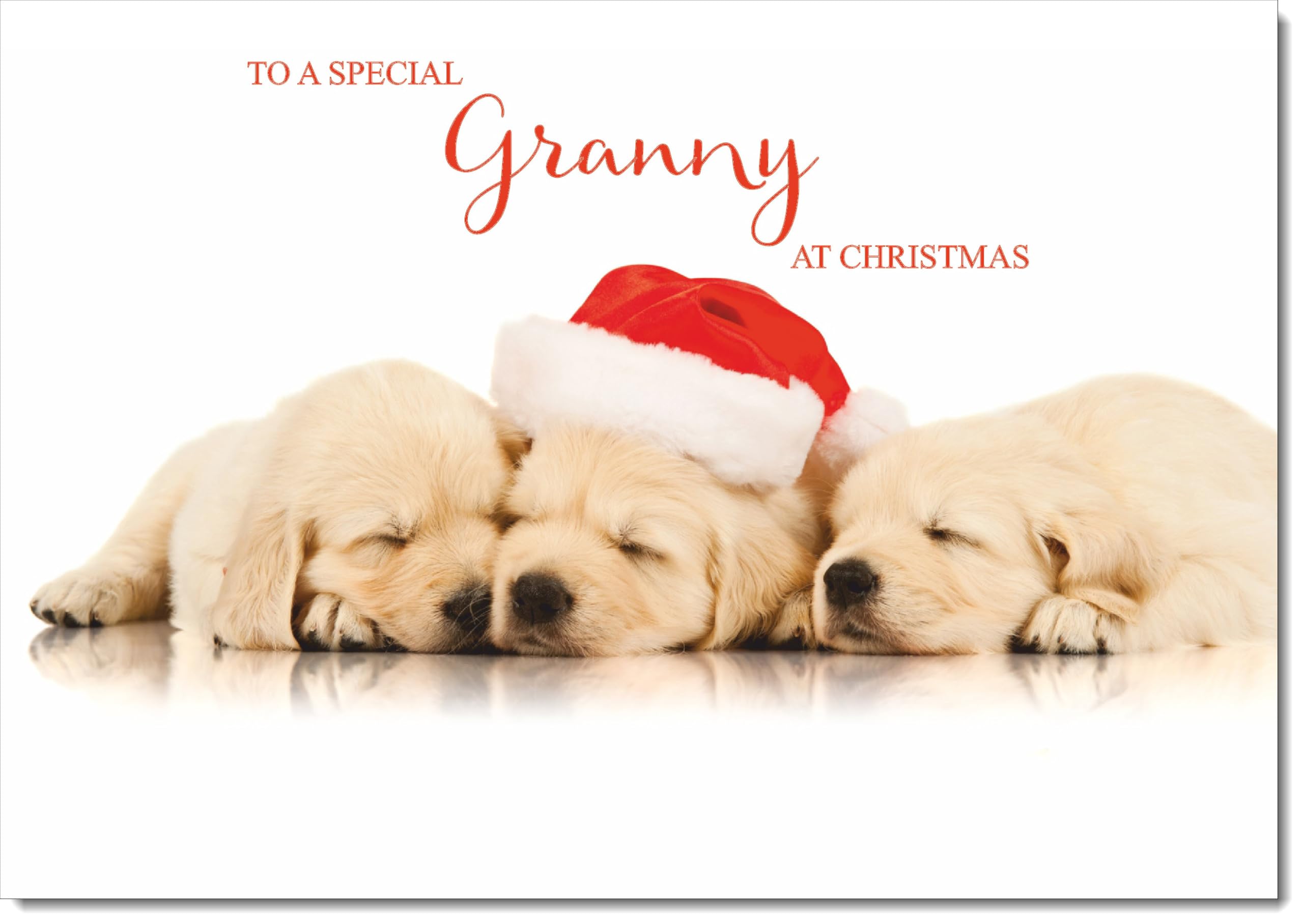 doodlecards Granny Christmas Card Puppies with Santa Hat Large A4 Size Christmas Card for Granny with Plain Envelope — image 1