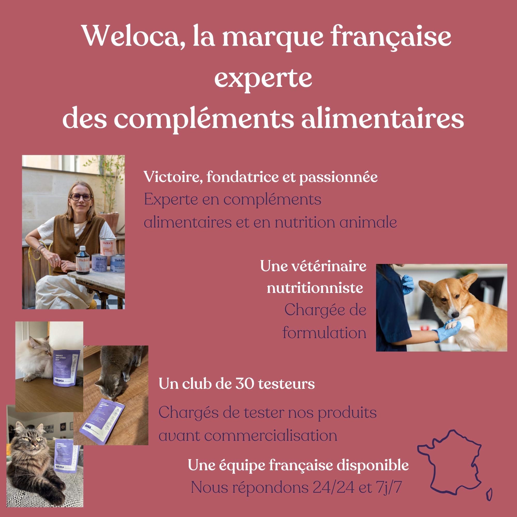 Anti-stress Chat - Anti marquage Urinaire, Anti griffade - Apaisant contre les problèmes comportementaux du chat ou changements (déménagement) - 120 bouchées naturelles très appétentes - Calmant chat