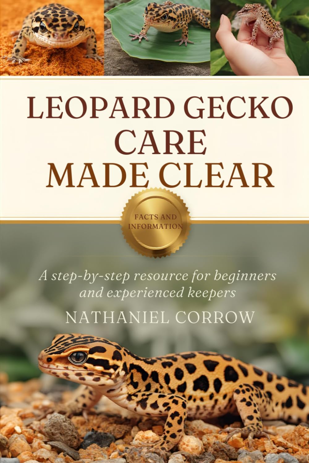 LEOPARD GECKO CARE MADE CLEAR: A step-by-step resource for beginners and experienced keepers