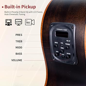 WishMade 4 String Fretless Acoustic Electric Bass Guitar Hollow Body BK