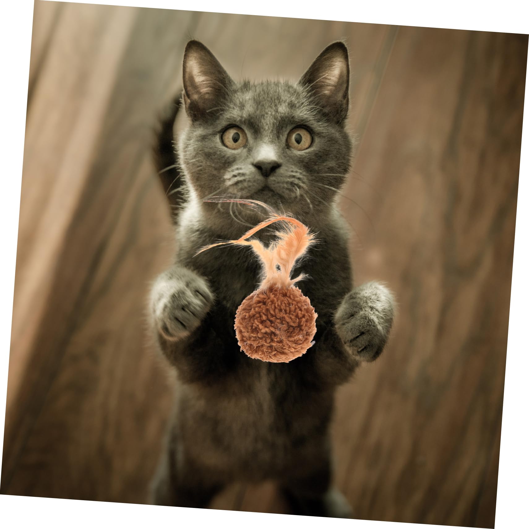 Didiseaon 27piezas Juguetes De Peluche para Gatos y Cascabel Accesorios Divertidos para Gatitos Juguetes Resistentes y para