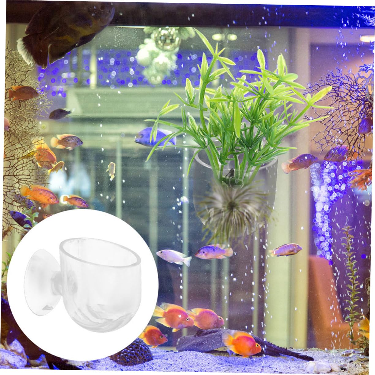 HANABASS 24piezas Flotante Acuario Planter De Ventosas Soporte para Acuáticas Decoración para Peceras y Acuarios para Hidropónico