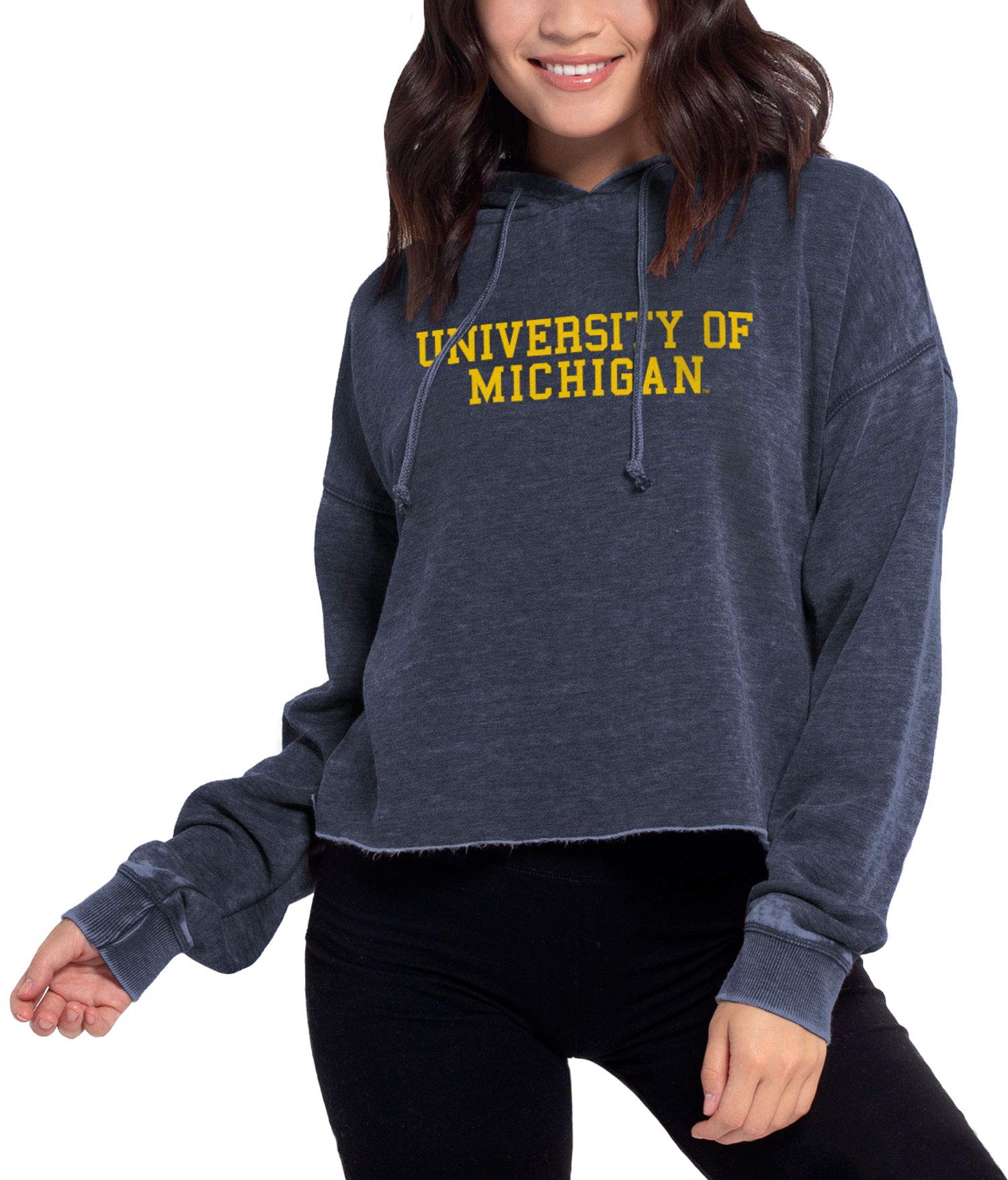 Clemson Tigers Women's Cropped Campus Hoodie - Soft Burnout Fleece, Grape Color, X-Large