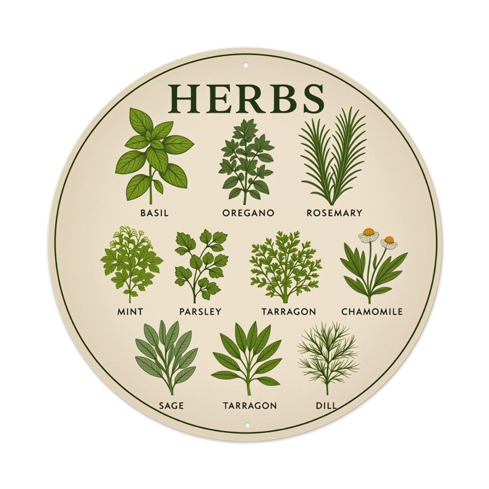 Herbs Plant Illustration Pattern Design Round Tin Sign Vintage Metal Poster, Home Bar Garage Man Cave Cafe Indoor & Outdoor Wall Decoration 8x8Inches