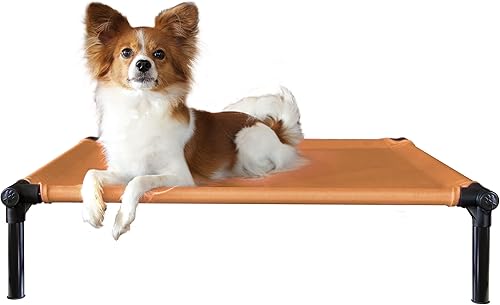 Miniatura 14 de Starmark Dog Zone Cama XL Carbón vegetal Carbón vegetal,Azul-cielo,Dorado (Sunset Gold)