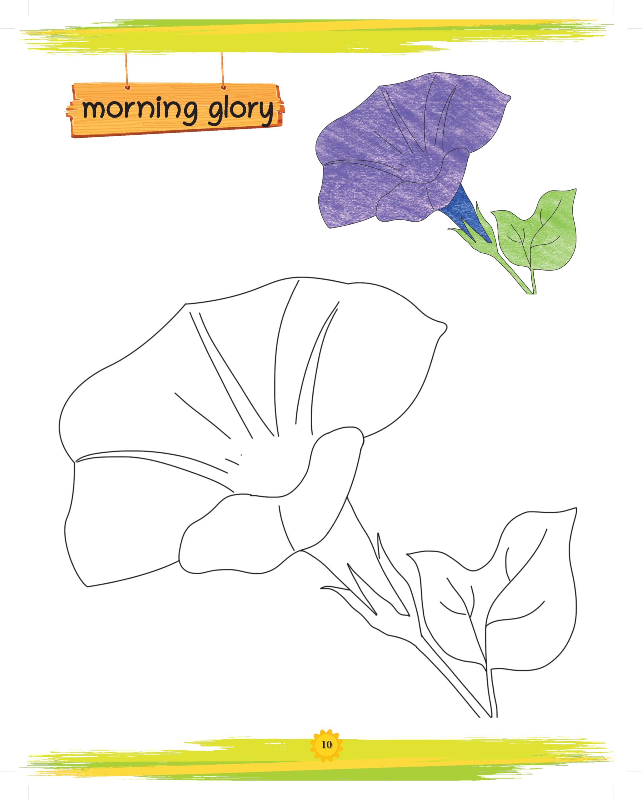Oswaal Lil Legends Book Of Copy Colouring Flowers for Kids | Fun Activity Book to Boost Focus, Vocabulary and Creativity | For Nursery/LKG/UKG | Age 3+ 2