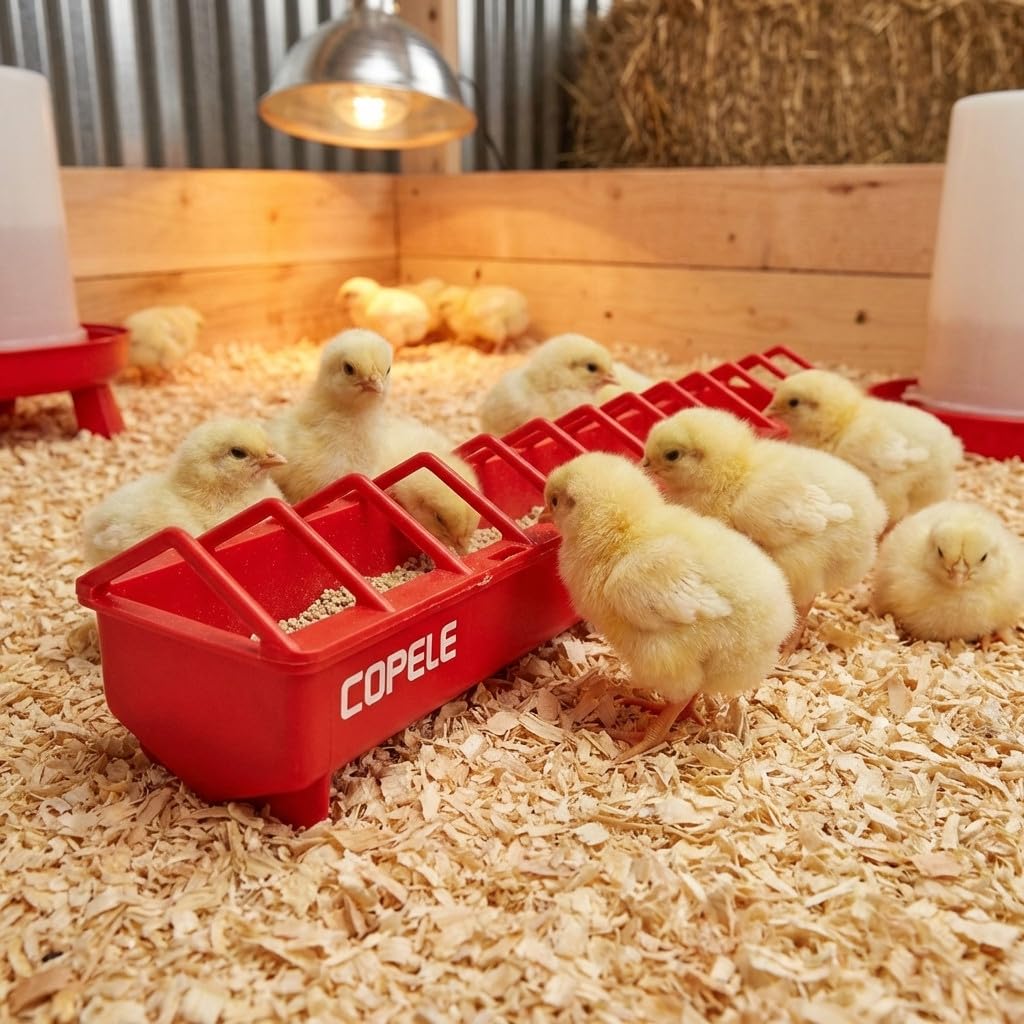 Suinga Pack 4 Comederos plásticos para Gallinas | Rejilla Ancha 100x12x13 cm | Comedero para Pollitos 1ª Edad | Canal Anti-Desperdicio