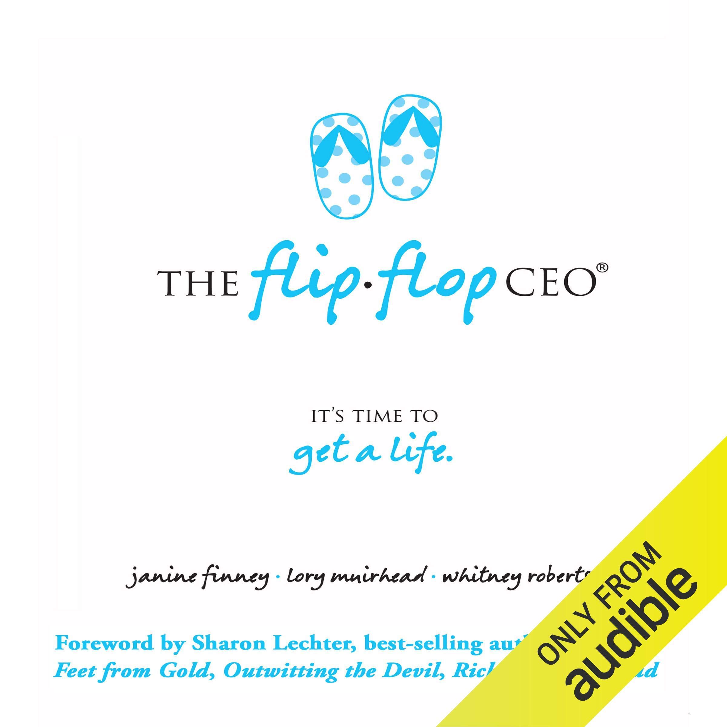 Cover art for The Flip Flop CEO