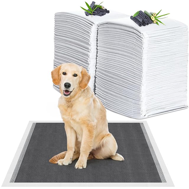 KORVORIA 60 Piezas Empapadores Perros, 60 x 90cm Carbón para Control de Olor Almohadillas Absorbentes