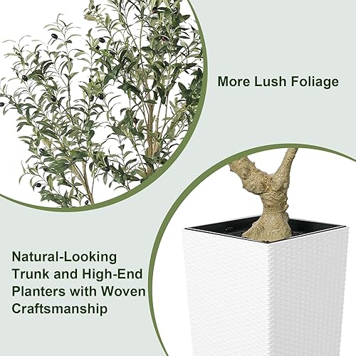 Miniatura 2 de Árbol de olivo sintético de 6 pies, olivos artificiales para interiores con maceta blanca alta y grande, olivo falso con tronco de madera natural y
