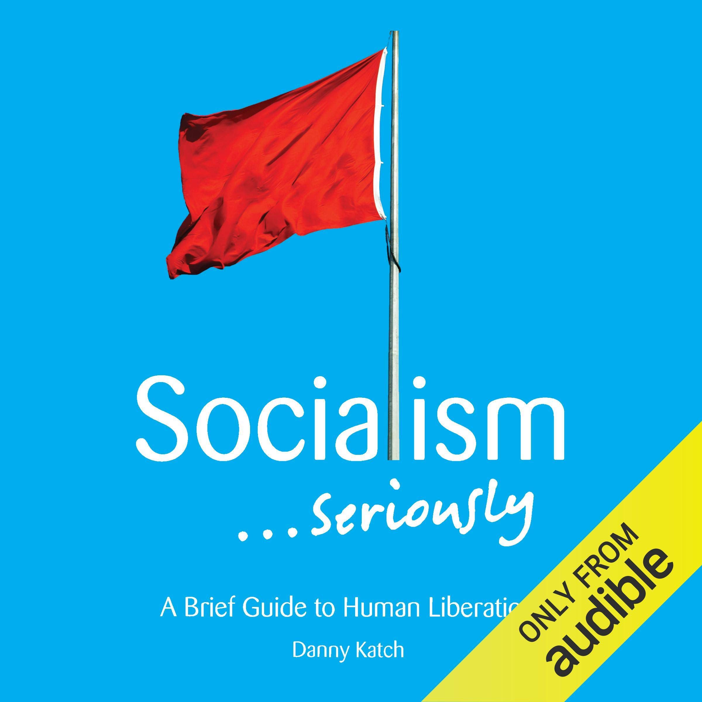 Cover art for Socialism...Seriously