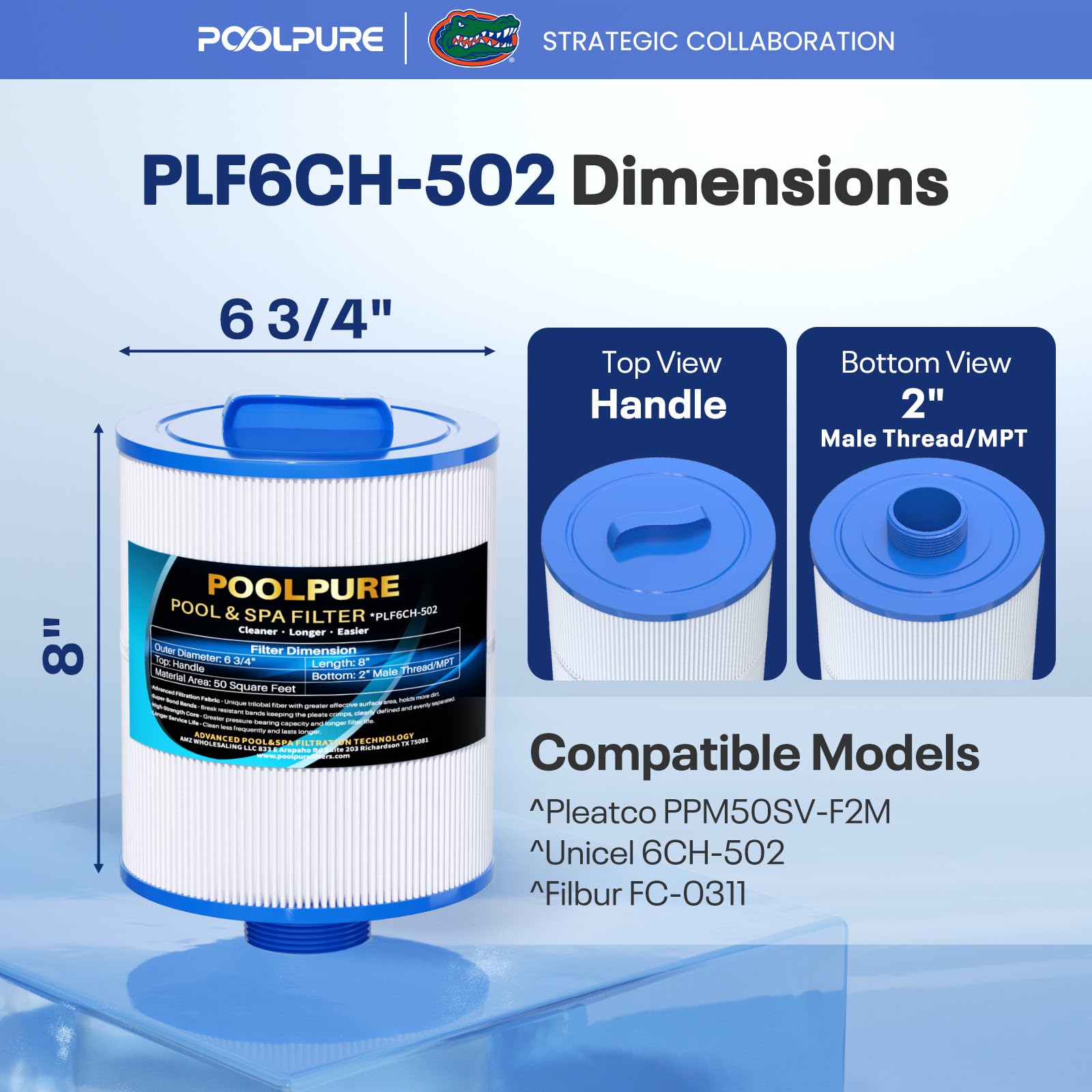 POOLPURE Lot de 2 filtres de Rechange pour Spa PAS50SV-F2M, Unicel 6CH-502, Filbur FC-0311, Philter 60506, Excel Filters XLS-604, Baleen AK-90161, Magnum AR50, Master Deluxe M60506