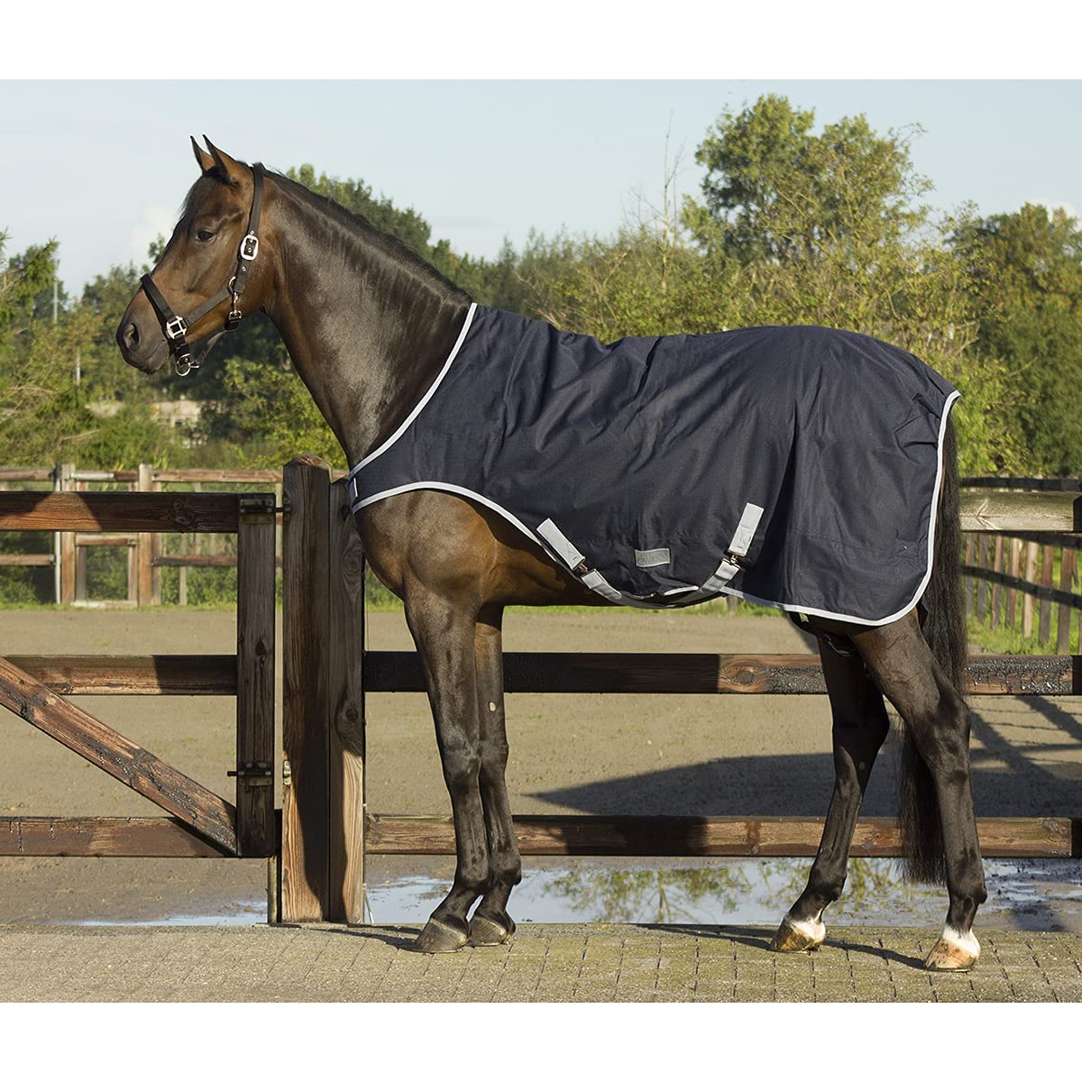 DKR Sports Coperta per Cavalli QHP