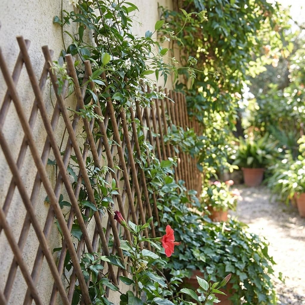 Suinga Celosia Madera 50x150 cm | Celosia de Mimbre | Celosia Interior Exterior | Celosia Extensible | Celosia Decorativa | Celosia Jardin sujeción de plantas