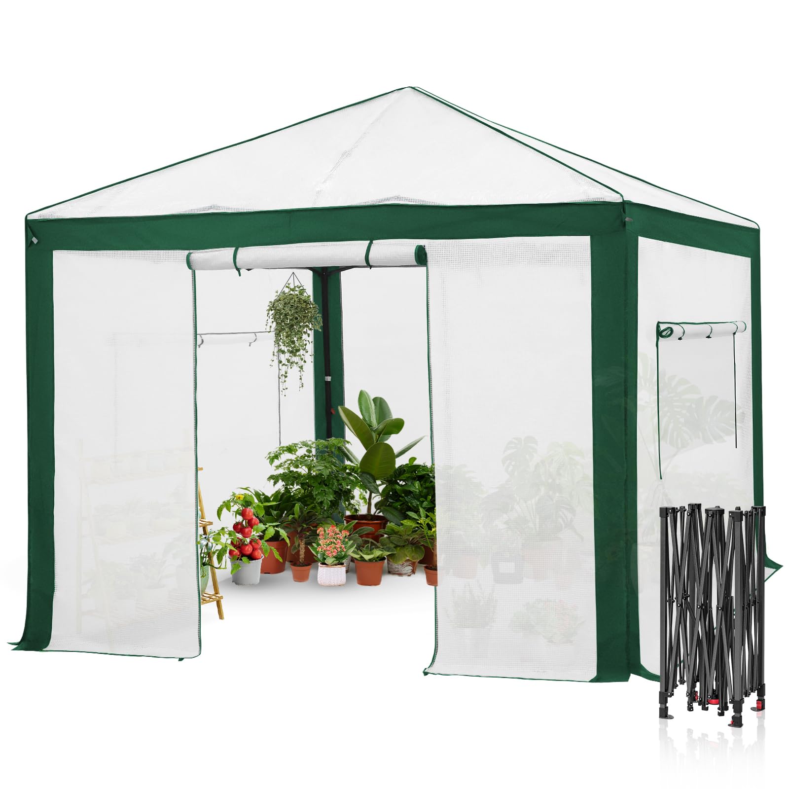 EAGLE PEAK 10x10 Walk in Pop Up Greenhouse, Green/White