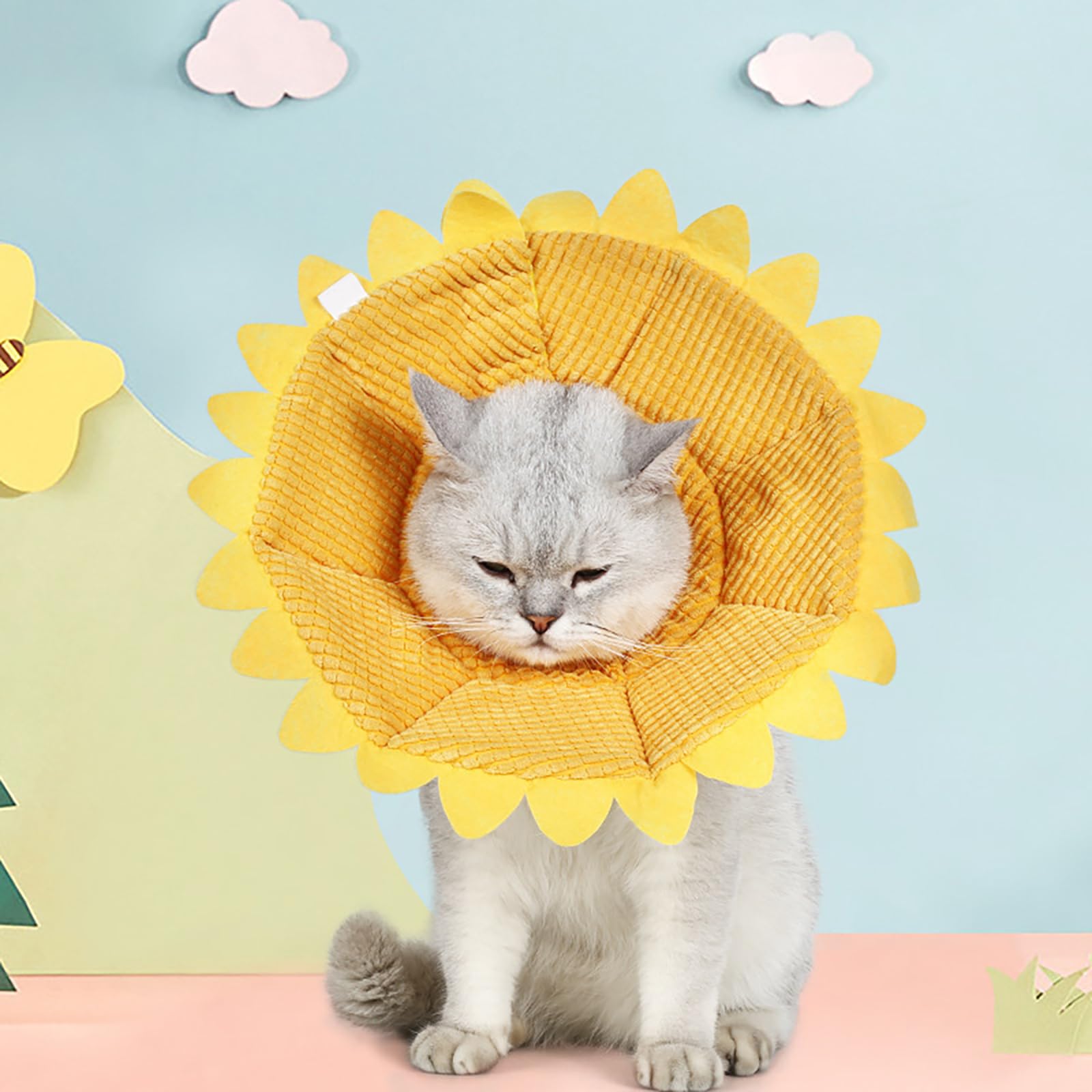 Amazon | エリザベスカラー 猫 犬 柔らかい えりざべすから 猫用 犬用
