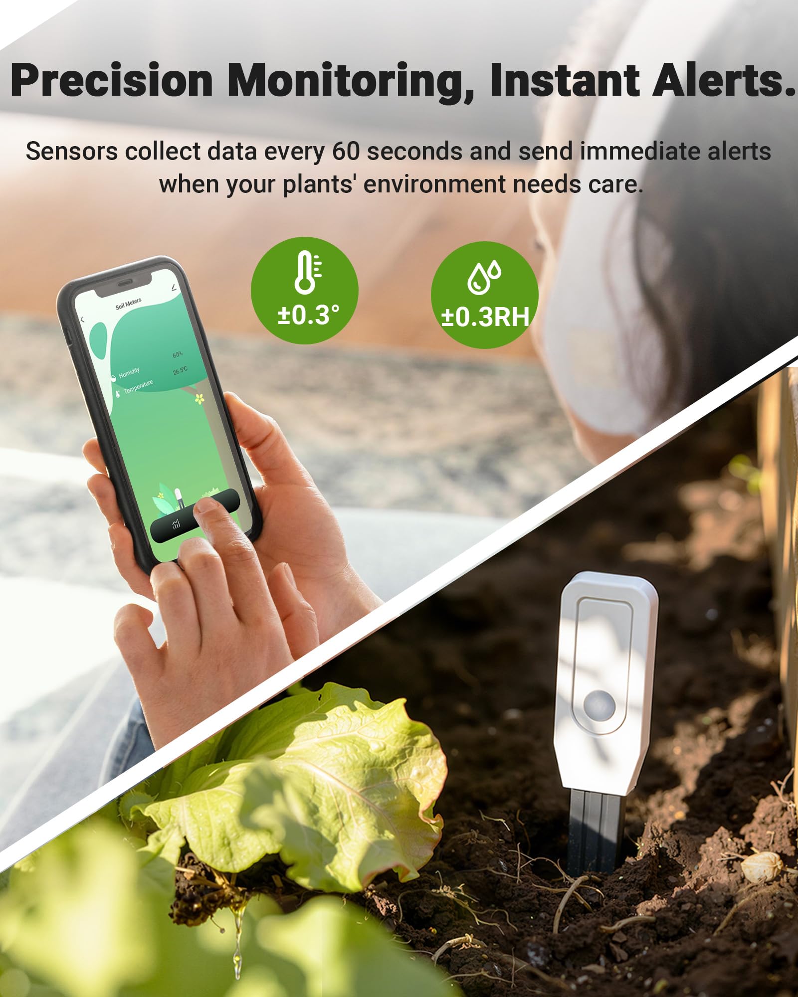 Humidimètre intelligent WiFi pour plantes, capteur 2 en 1 avec alertes d'application | Surveille l'humidité et la température à distance, données en temps réel pour le jardinage intérieur