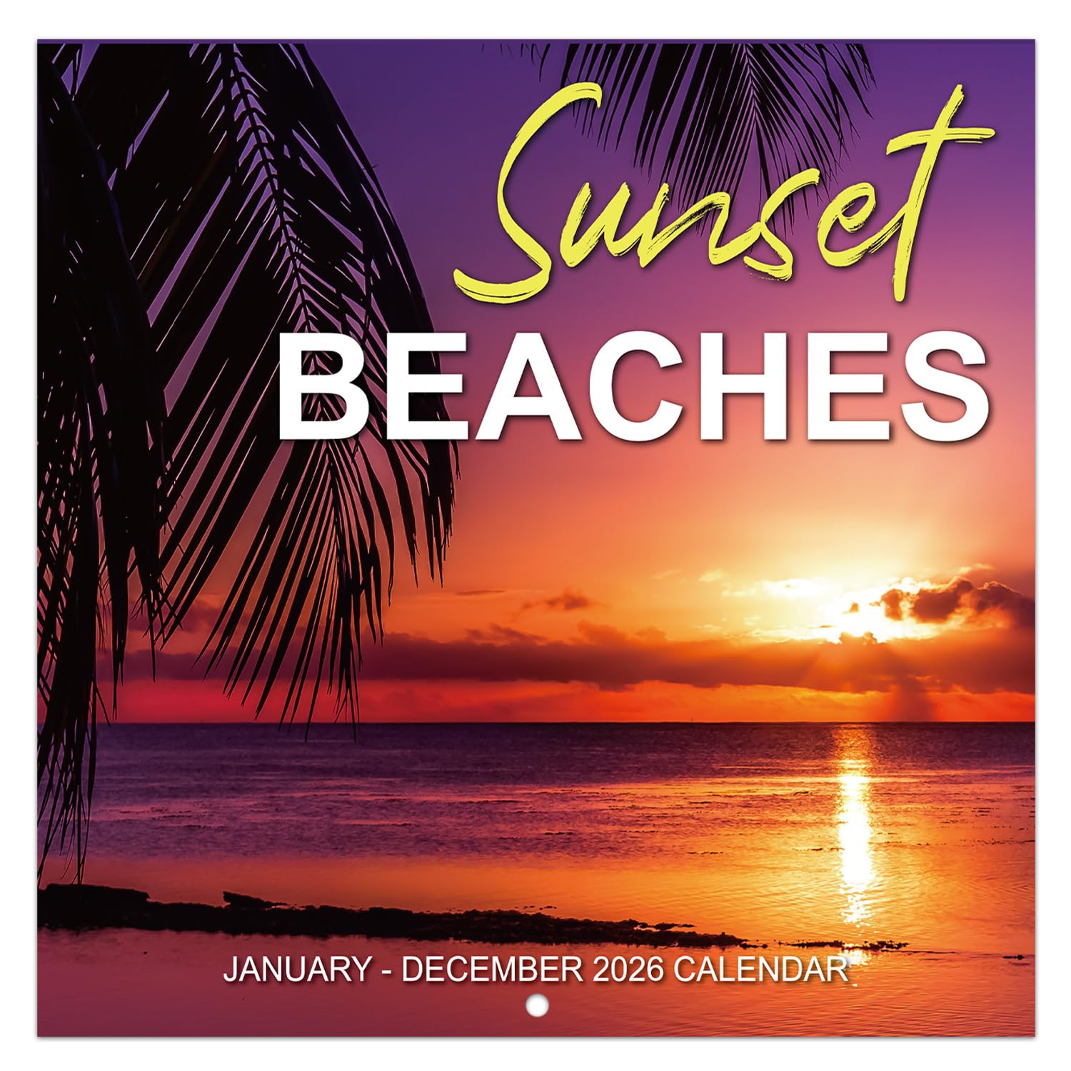 Seaside Days Sli Calendar 2025 (PFP) : Aazon.co.uk