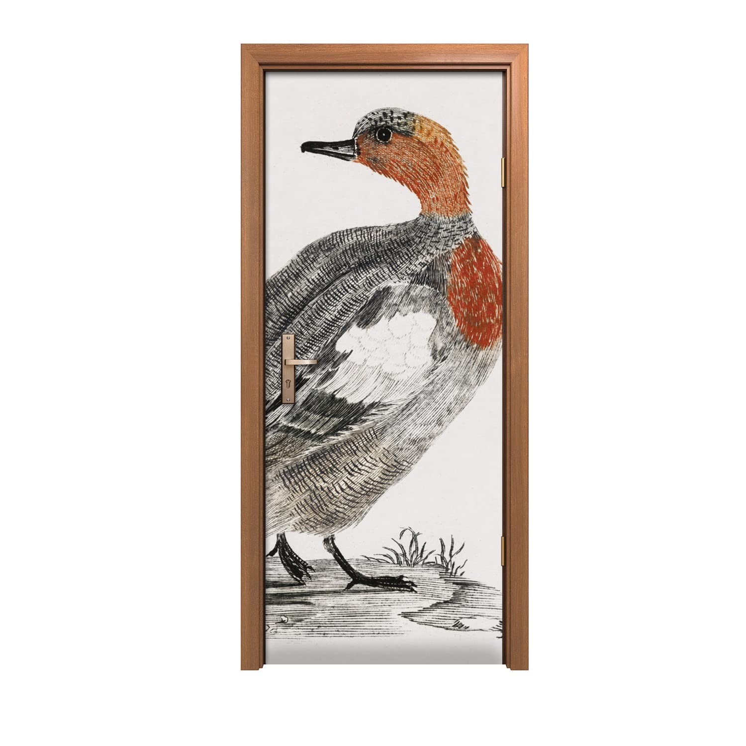 Autocollant de porte 90x200cm motif canard animal pour décoration murale design