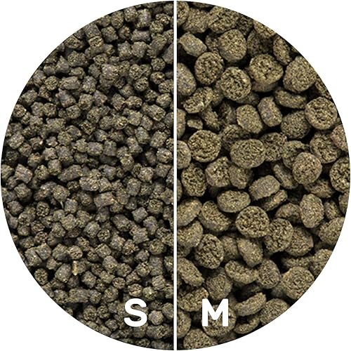 Miniatura 4 de Hikari Usa Inc AHK25321 Algas marinas extremas 3.16 onzas