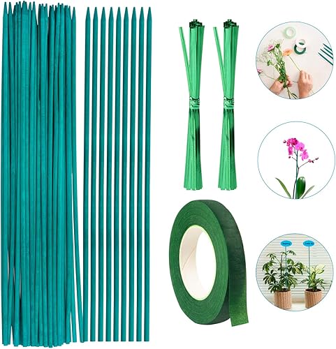 Estaca de madera para plantas, 35 varillas de bambú verde, soporte floral de 12 pulgadas, con 2 lazos de jardín y 1 rollo de cinta floral para disponible en Yaxa Venezuela