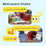 NETVUE by Birdfy Smart Bird Feeder with Camera, Bird Watching Camera, Auto Video Capture & Motion Detection, 1080P Live Steam, Wireless Outdoor Feeder, Ideal Present for Backyard Birder, Blue