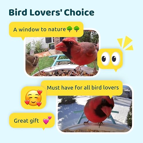 Miniatura 9 de NETVUE Birdfy AI - Comedero inteligente para pájaros con cámara, alimentado por energía solar, captura e identificación automática de IA de por vida