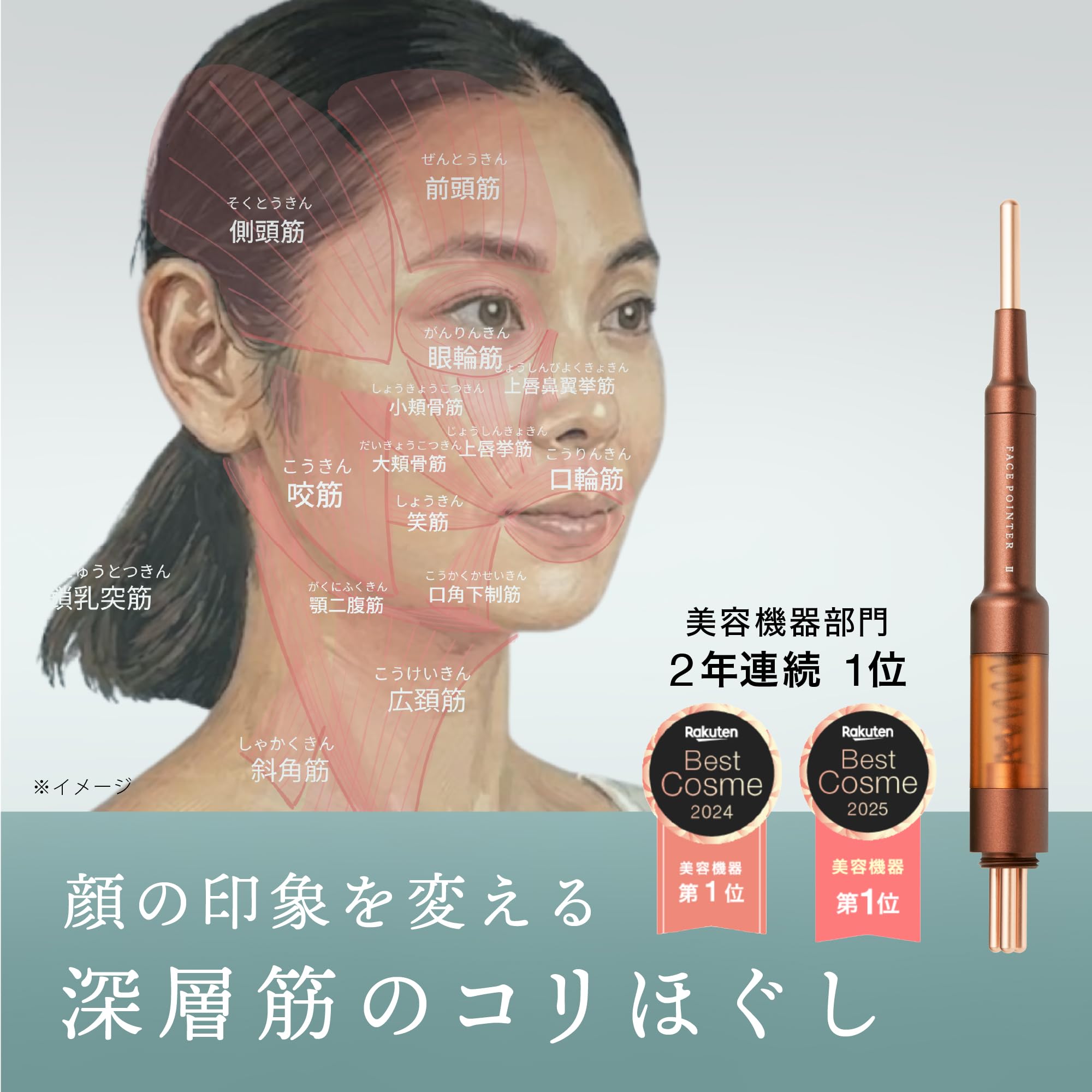 Amazon.co.jp: The FACE POiNTER 7th フェイスポインター COREFIT