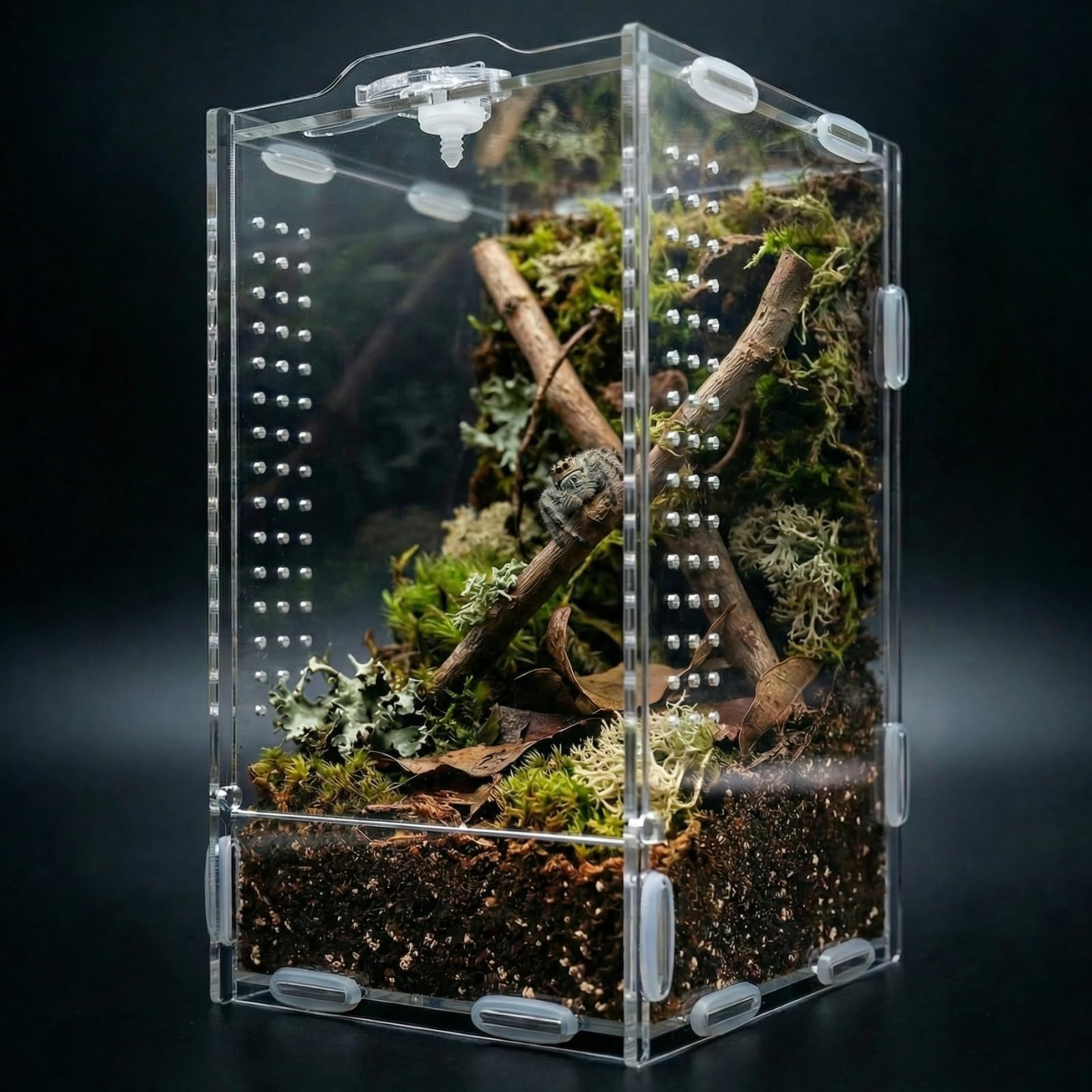 Jumping Spider Enclosure, Reptile Terrarium, Tarantula Habitat,Acrylic Lizard Box, Mantis Bug Cage ﻿