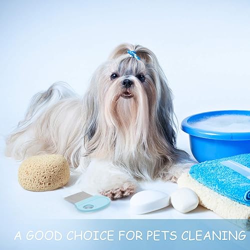 Miniatura 5 de 6 piezas para eliminar piojos en la cabeza, peine de pelo con lupa, herramienta de dientes de metal fino para perros, gatos, mascotas, aseo humano y