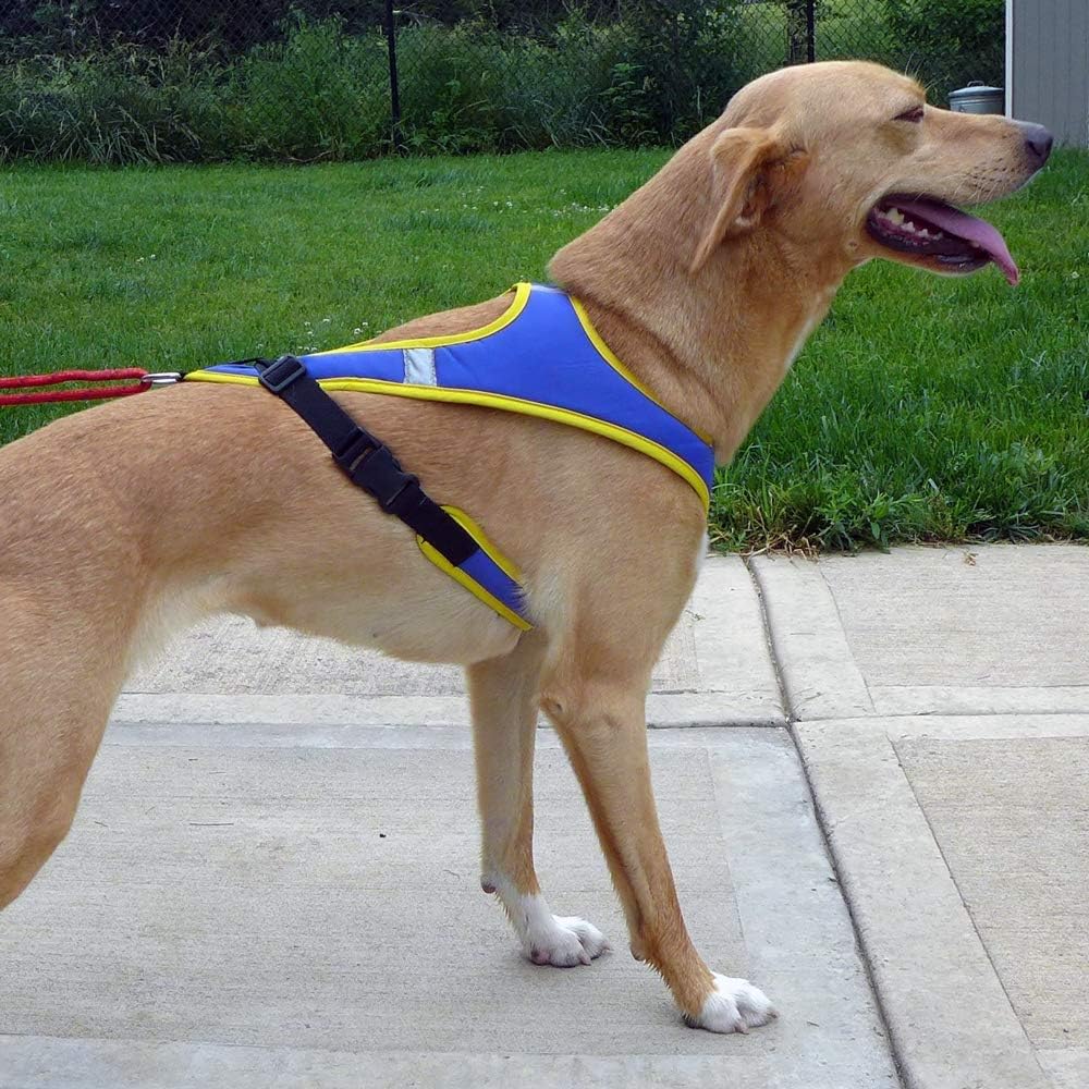Tough Skin Harness for Canicross, Dogscooting, Bikejöring, Dog Trekking (Neck Circumference Approx. 56-58 cm, Blue)