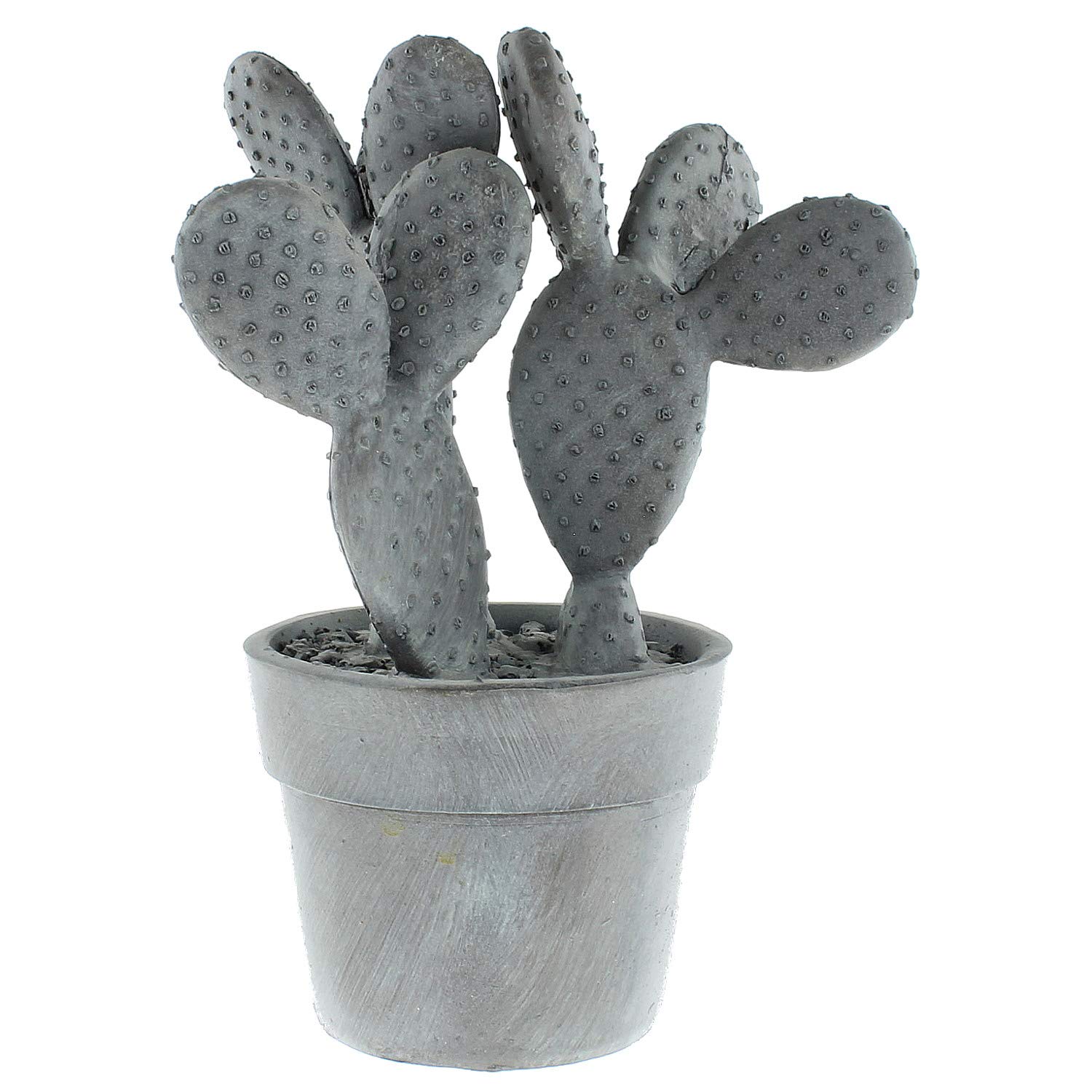 Amazon.de: MACOSA LC181197 Design Deko-Kaktus grau Polyresin 17 x 24 cm  Dekofigur Deko-Skulptur Dekopflanze Mexiko Wohnaccesoire Dekoration  Tischdekoration
