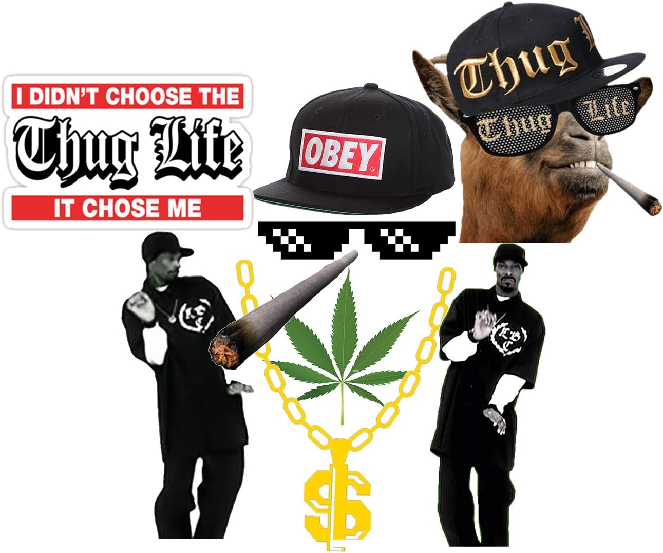 GTOTd Stickers for Memes and Thug Life. Laptop,Water Bottles, Computer(10 PCS) Stickers
